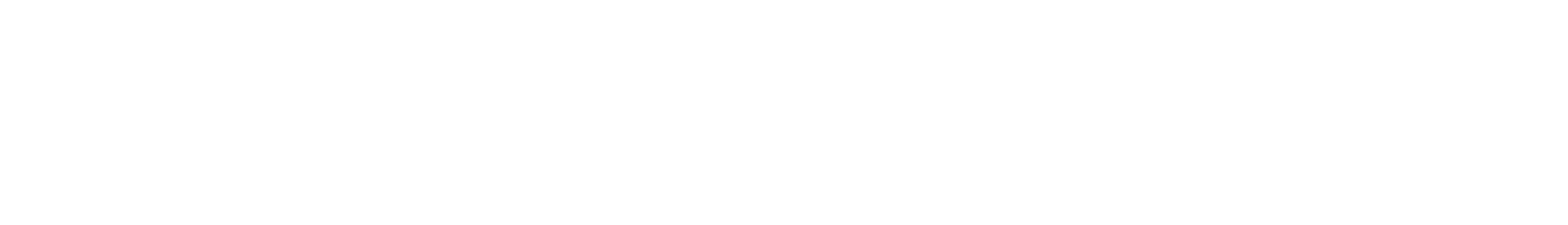 rapnix_international